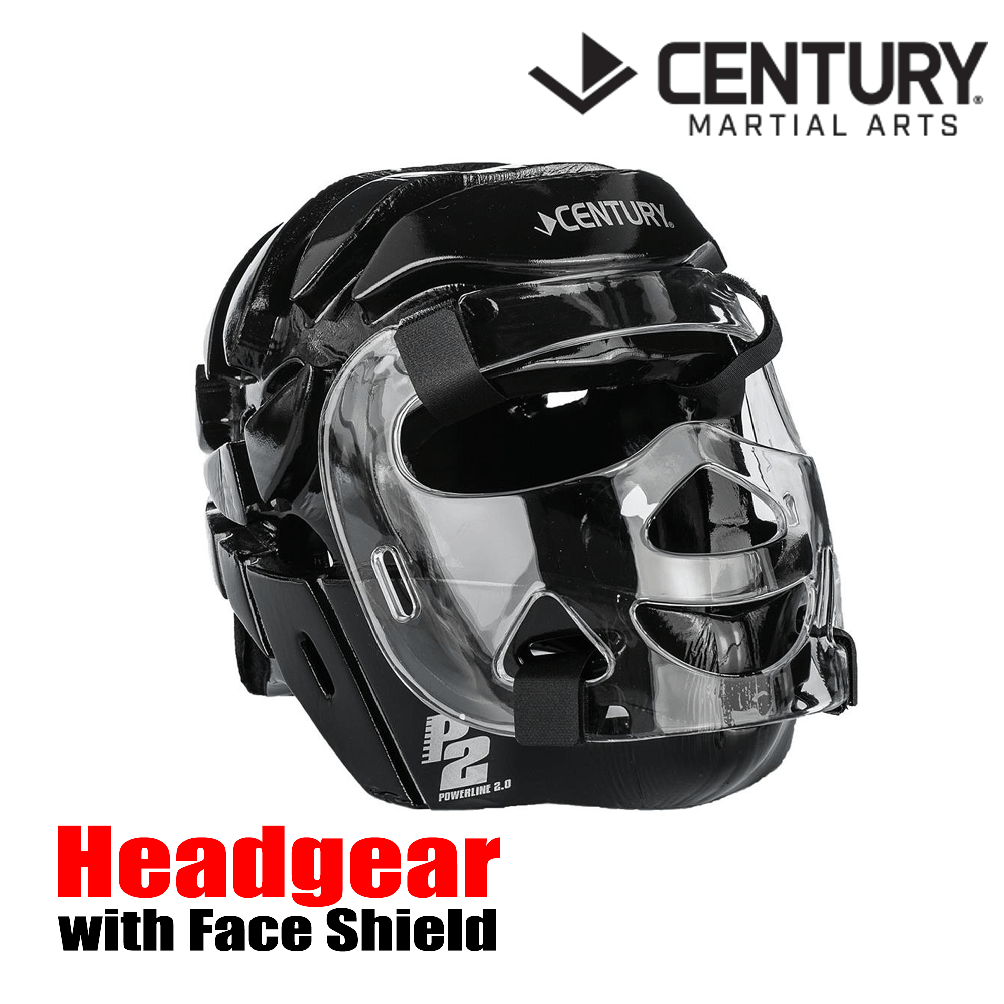 P2 Full Face Headgear with Shield (CEN-11428)